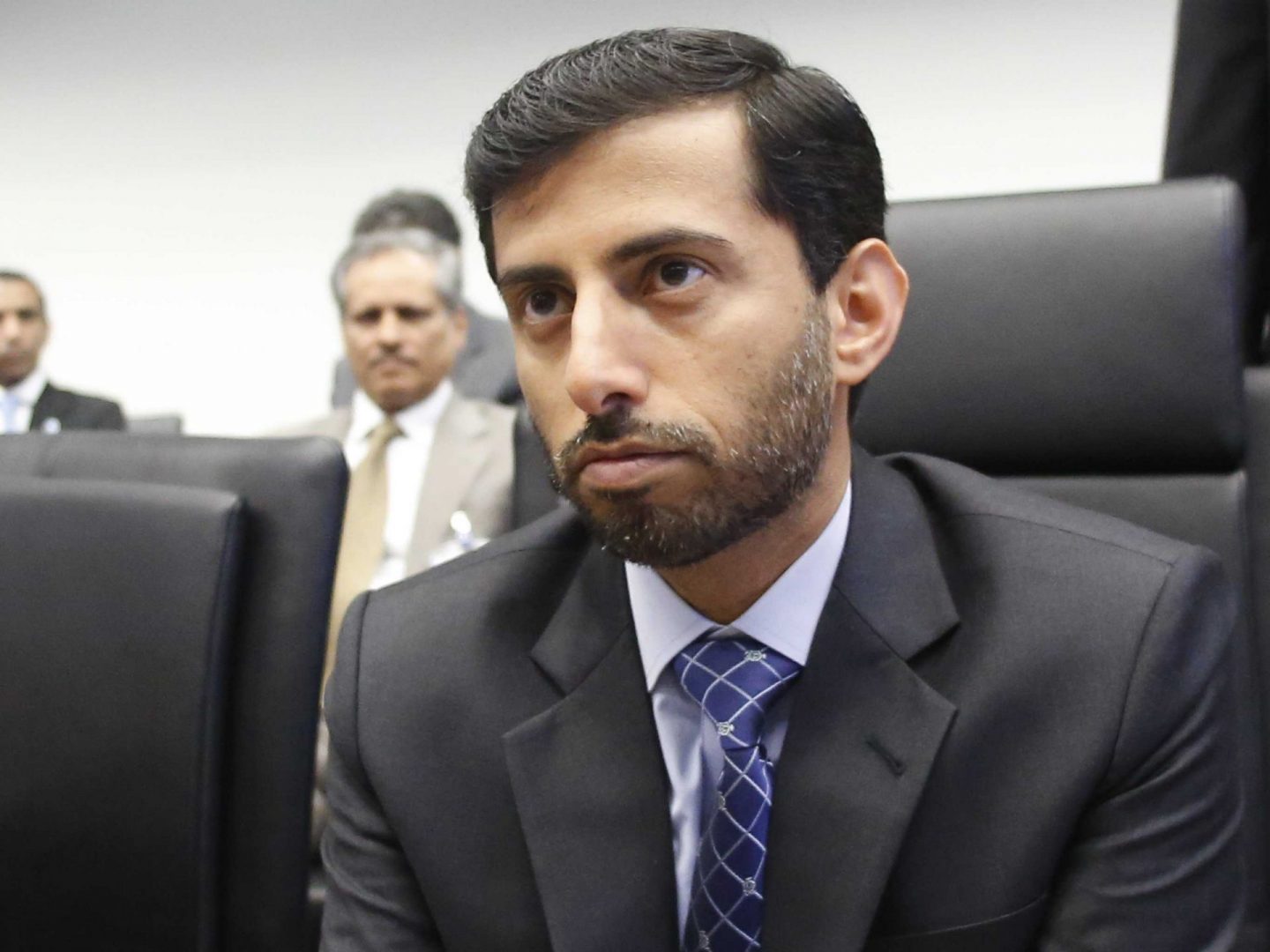 UAE Firm on Energy Diversification Amid Oil Prices