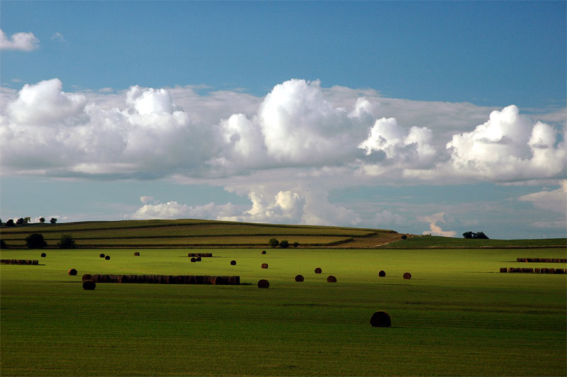 TransCanada Halts Efforts to Acquire Land for Keystone Pipeline