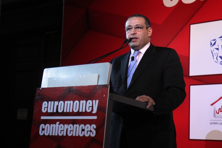 Egyptian Investment Minister Expects FDI to Double, Promises Greater Reforms