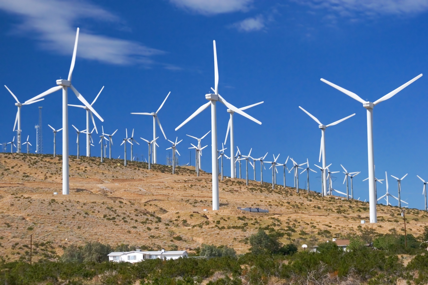 Egypt to Inaugurate Mega Wind Farm