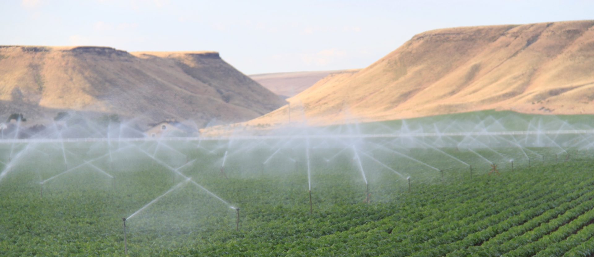 Solar Energy to Irrigate 220,000 Acres in Kom Ombo