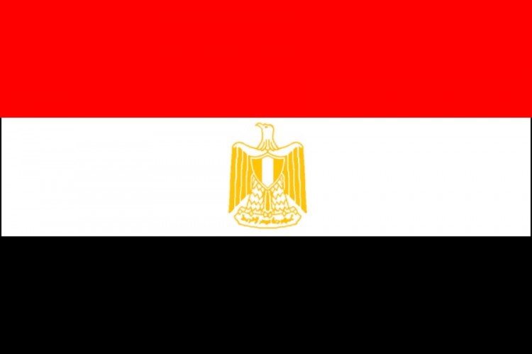 Egypt Energy Conference Highlights Need for Energy Mix