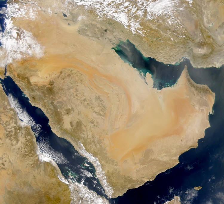 MODELS OF ENDURANCE: ARAB GULF STATES BETWEEN OIL PRICES AND GEOPOLITICS