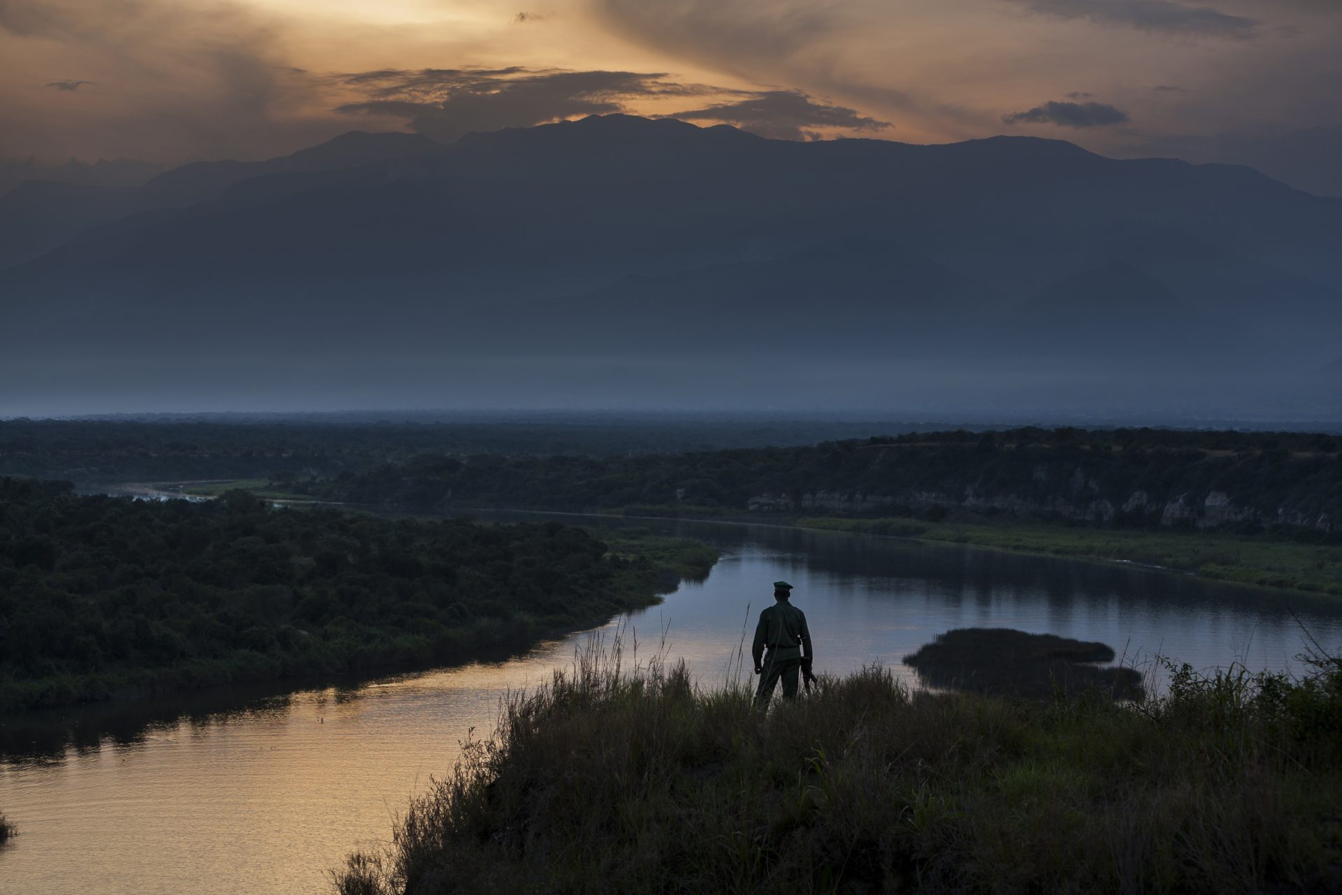 British SOCO: We No Longer Hold License in African Wildlife Park