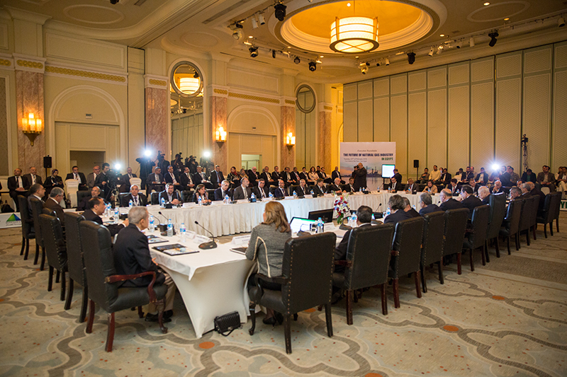 EXECUTIVE ROUNDTABLE: The Future of Natural Gas in Egypt