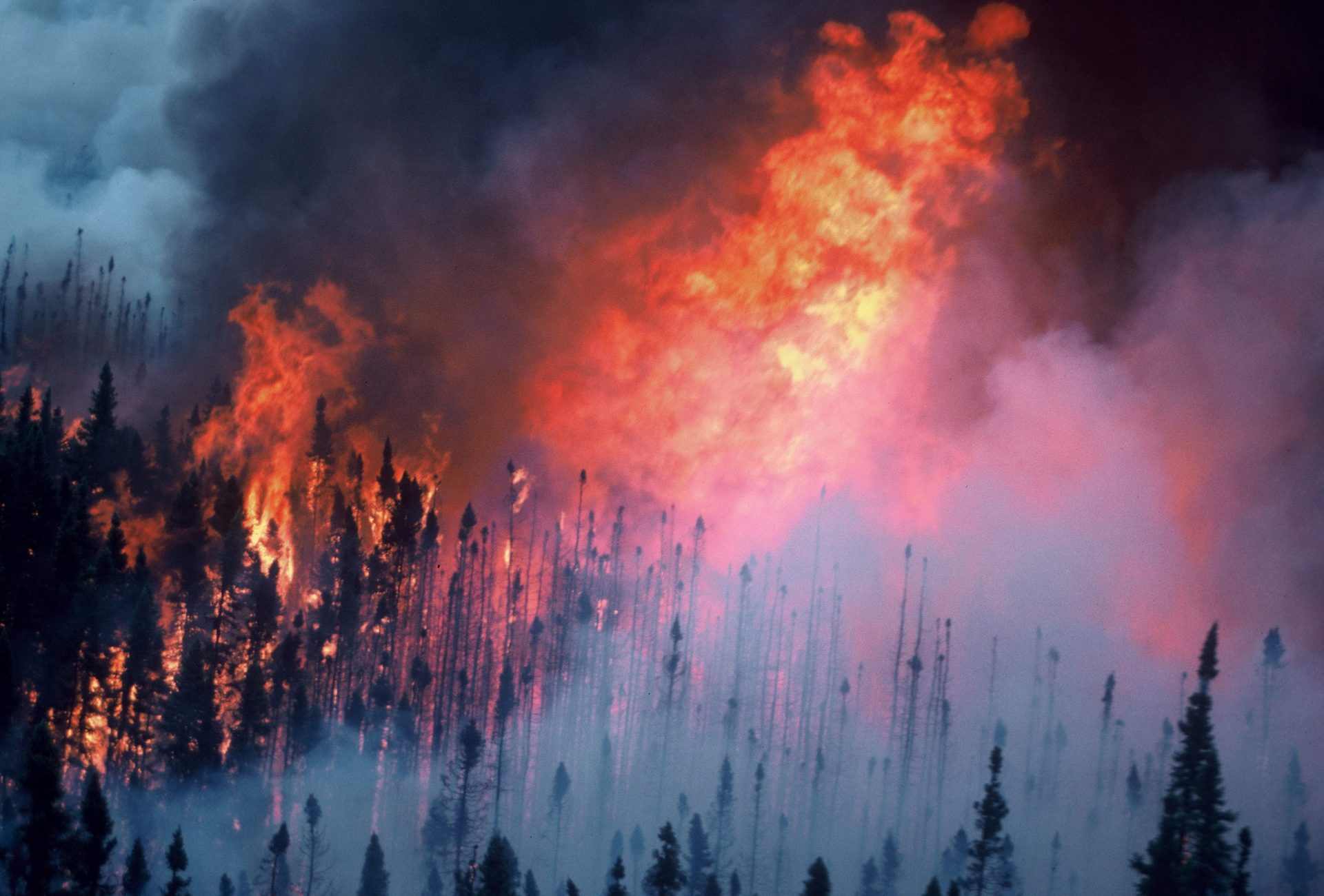 Ain Sokhna Pipeline Fire Kills 3