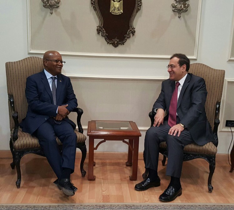 Egypt, South Africa Seek Energy Cooperation