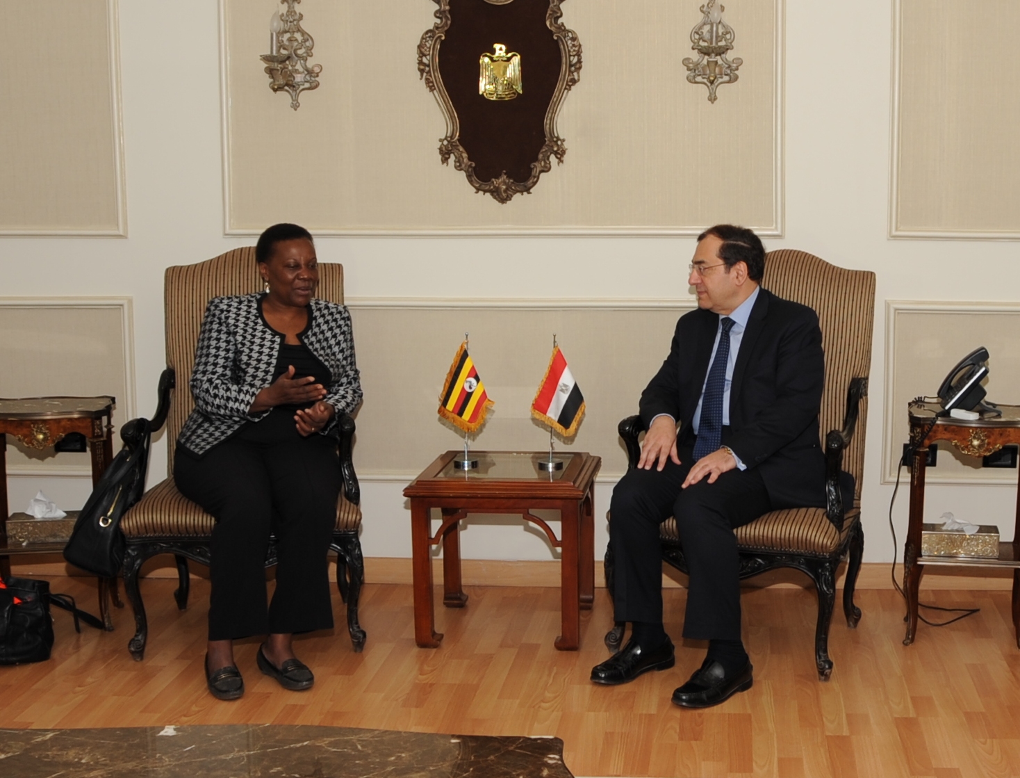 Egypt, Uganda Talk Energy Cooperation