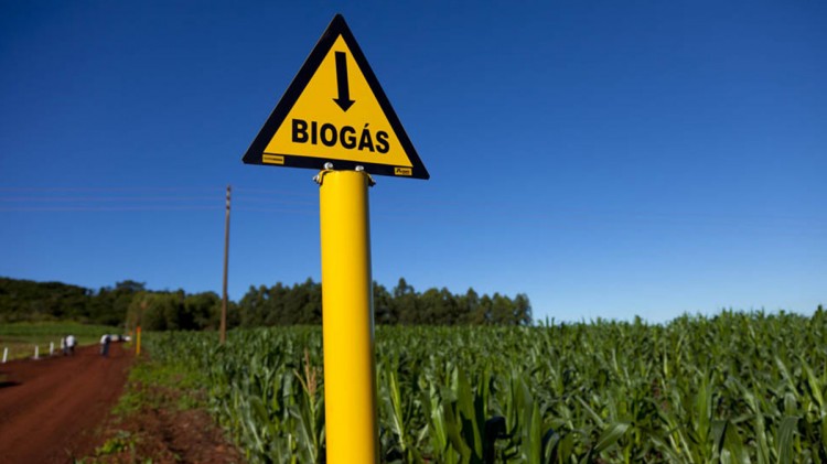 Kenya Linked Biogas Power to the Grid