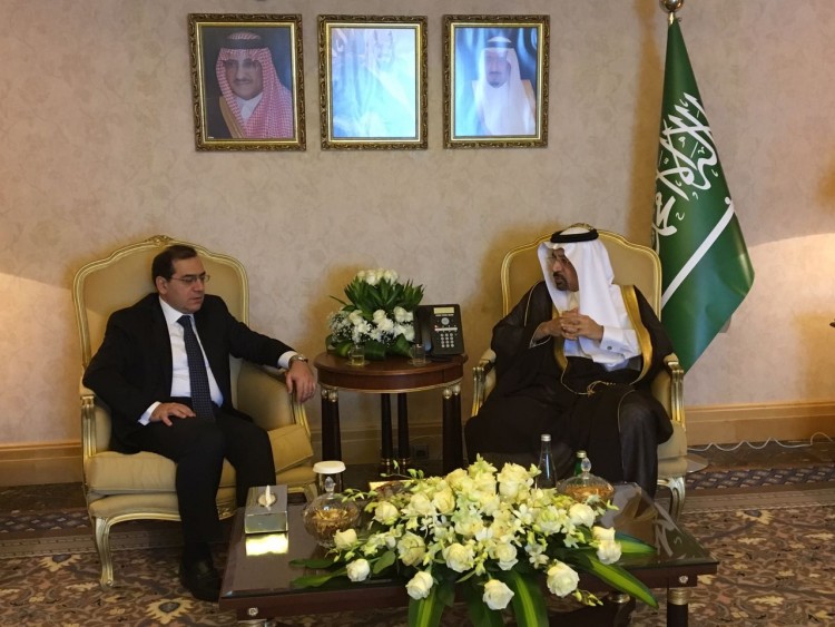 Egypt, Saudi Arabia Talked Mineral Cooperation