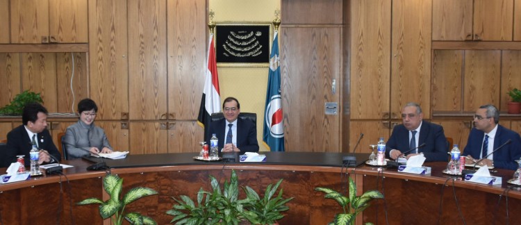 Egypt, Japan Discuss Bilateral Cooperation
