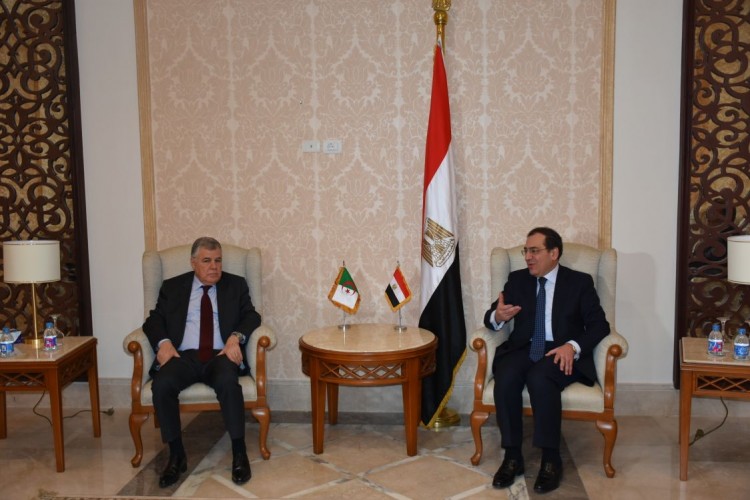 Egypt, Algeria Discuss Petroleum Cooperation