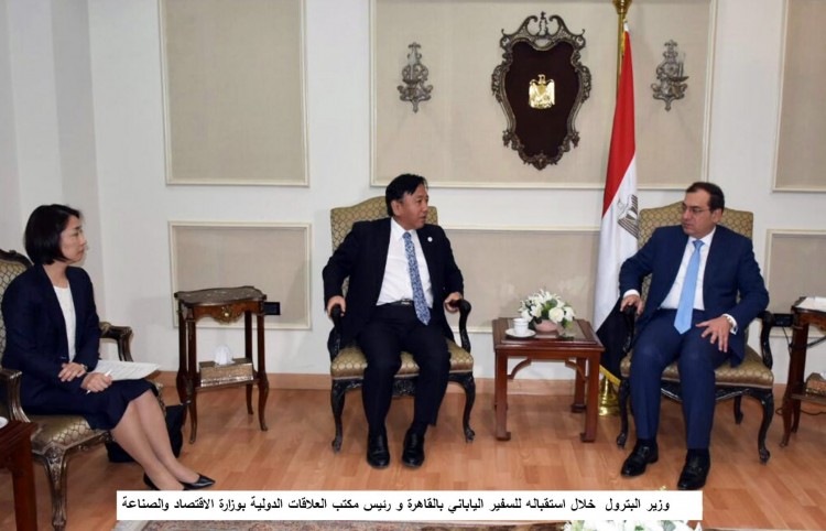 Egypt, Japan Discuss Petrochemical Cooperation