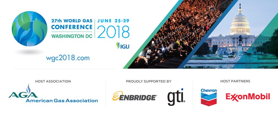 Egypt Participating in World Gas Conference