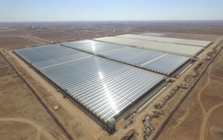 Oman Announce Plans for Second Giant Solar Project