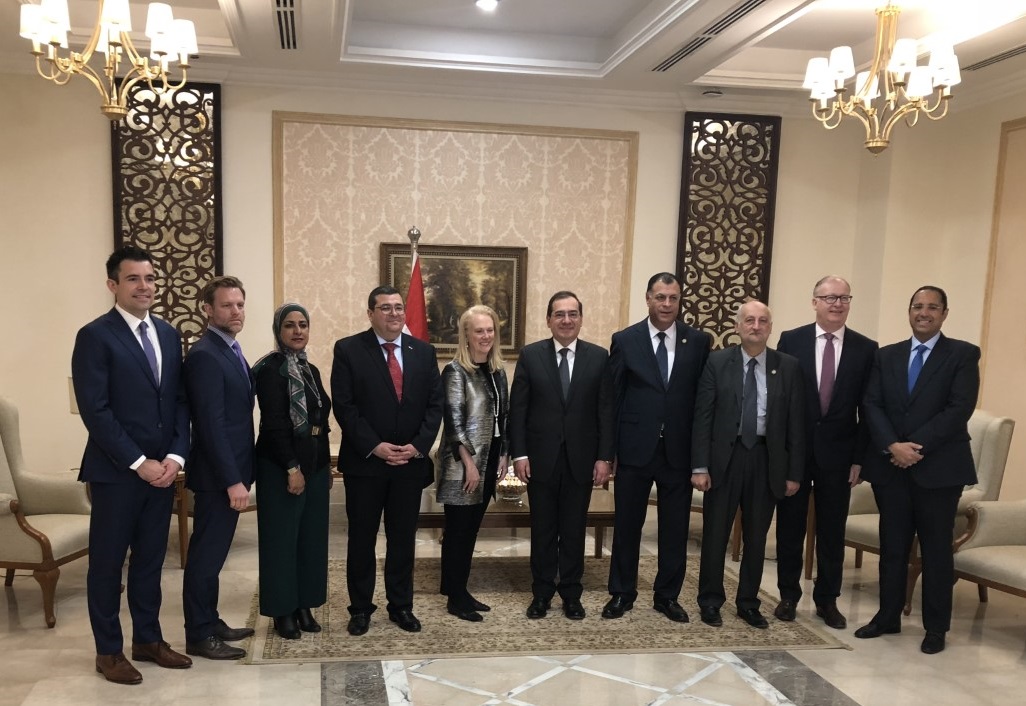 Egypt Announces Winning Bids for 12 New Concessions