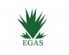 Egypt Saves EGP 24 B by Halting LNG Imports