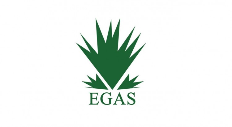EGAS Offers Six LNG Cargoes from Idku Plant