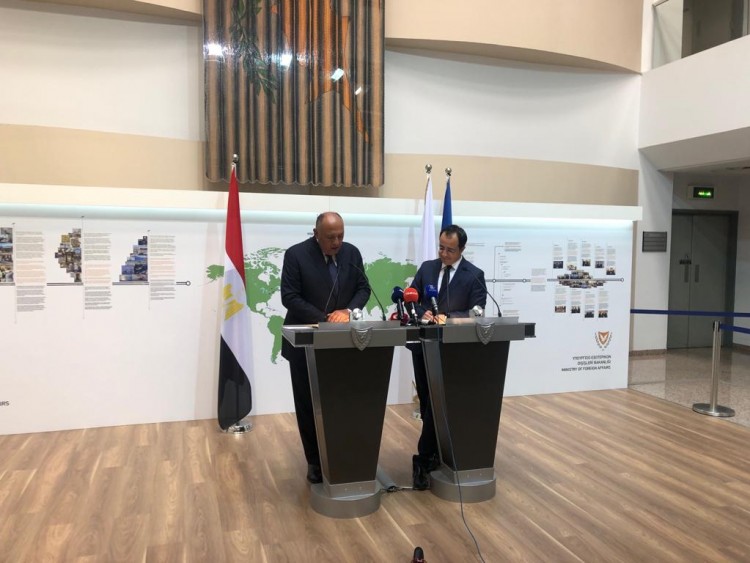 Shoukry Discusses Energy Cooperation in Cyprus