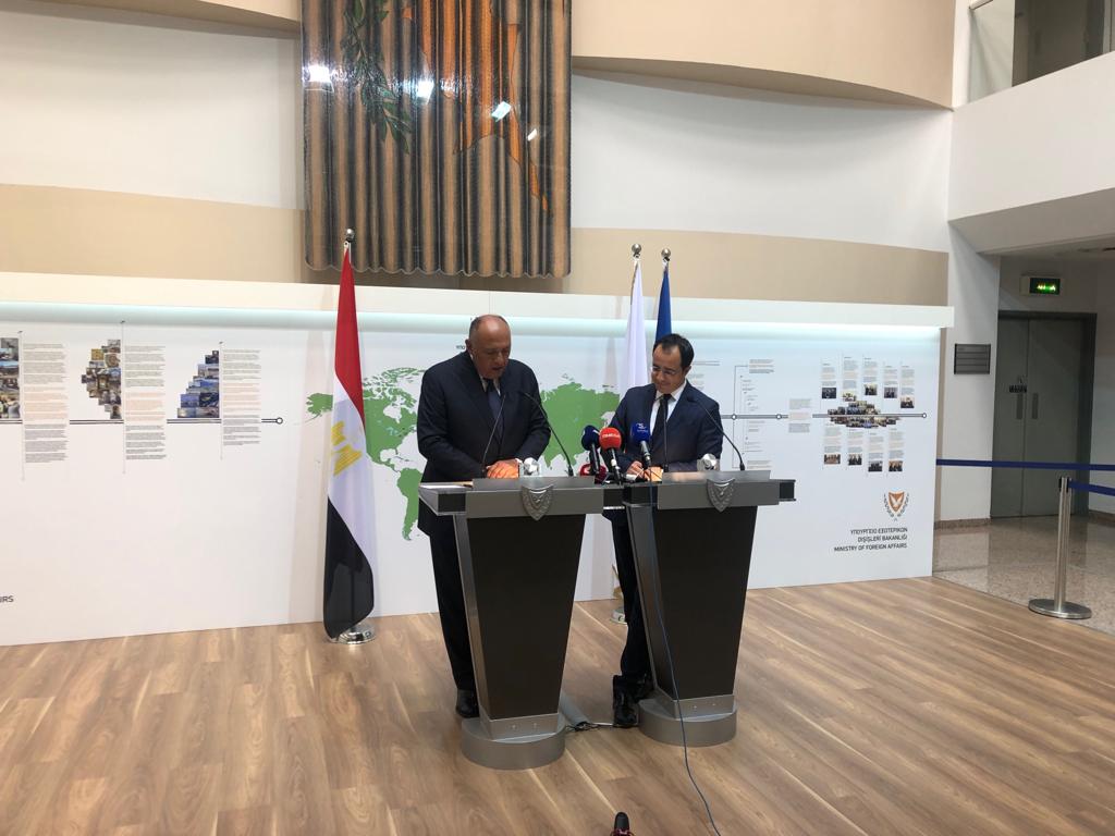 Shoukry Discusses Energy Cooperation in Cyprus