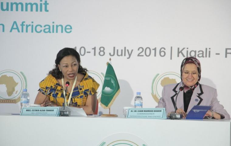 Egyptian Elham Ibrahim Chosen as WEC Deputy Chair