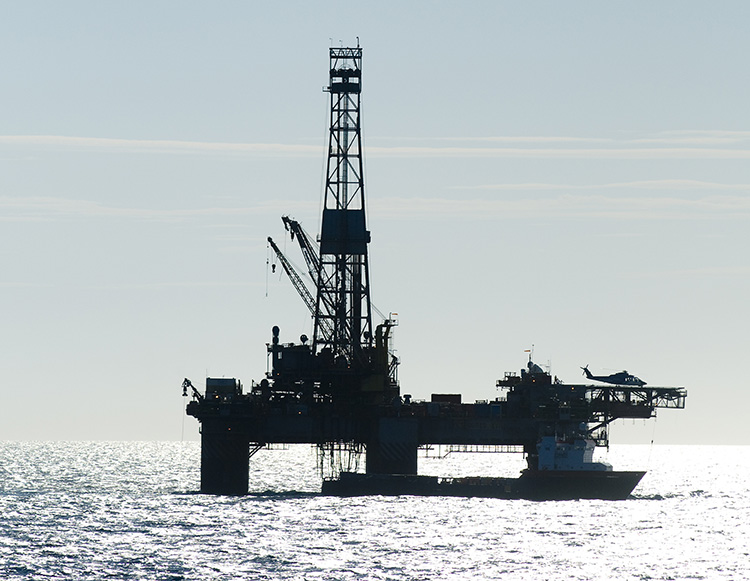 Marine Life Protection in the Oil and Gas Field