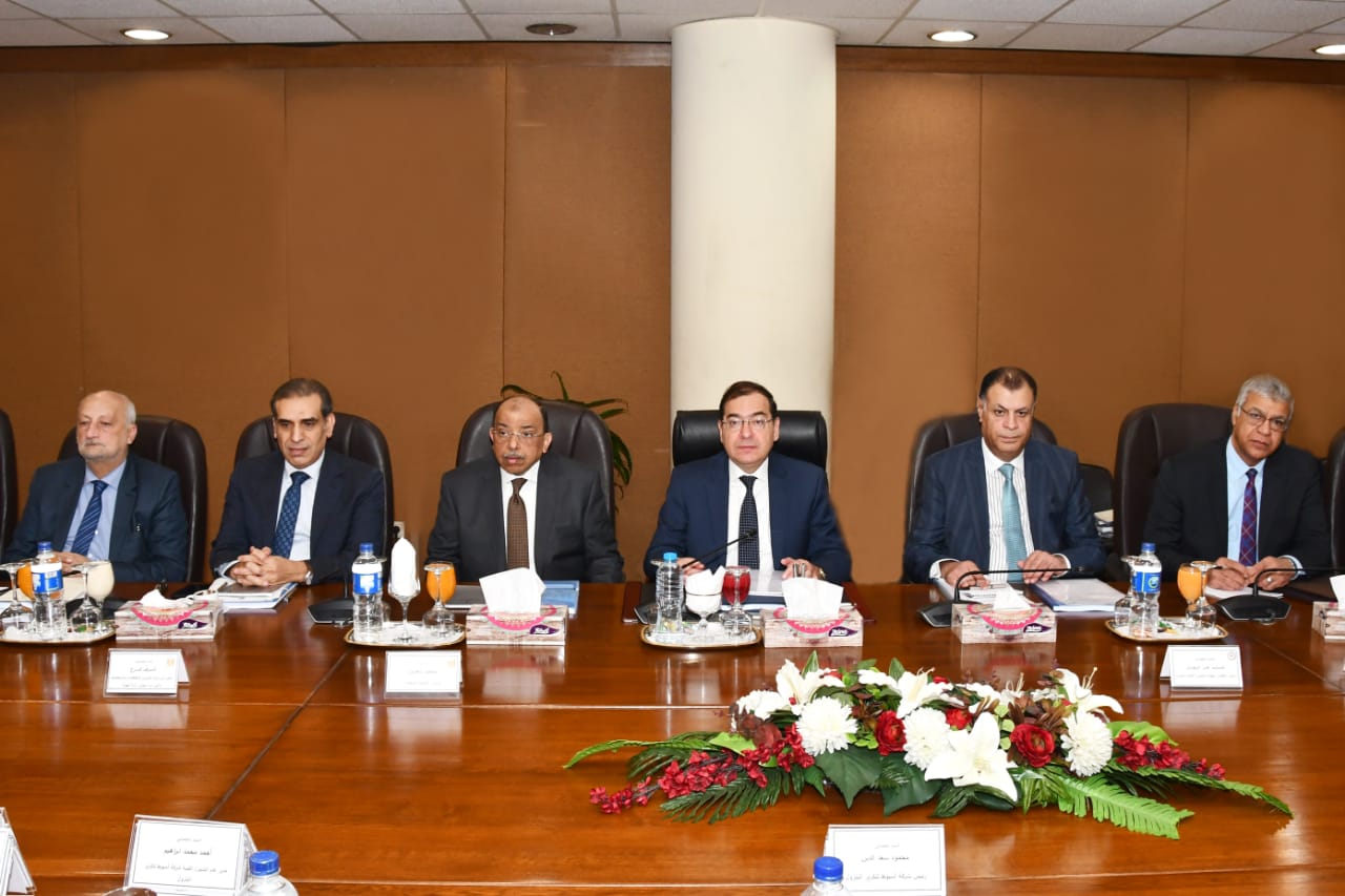 El Molla Reviews Petroleum Projects in Upper Egypt