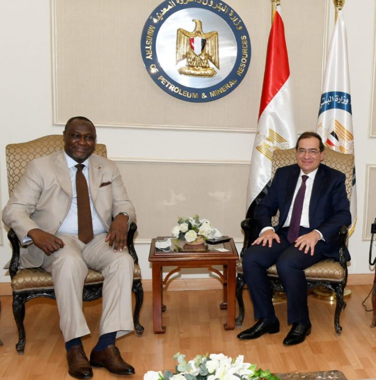 Egypt, AFC, Explore Petroleum Cooperation Opportunities