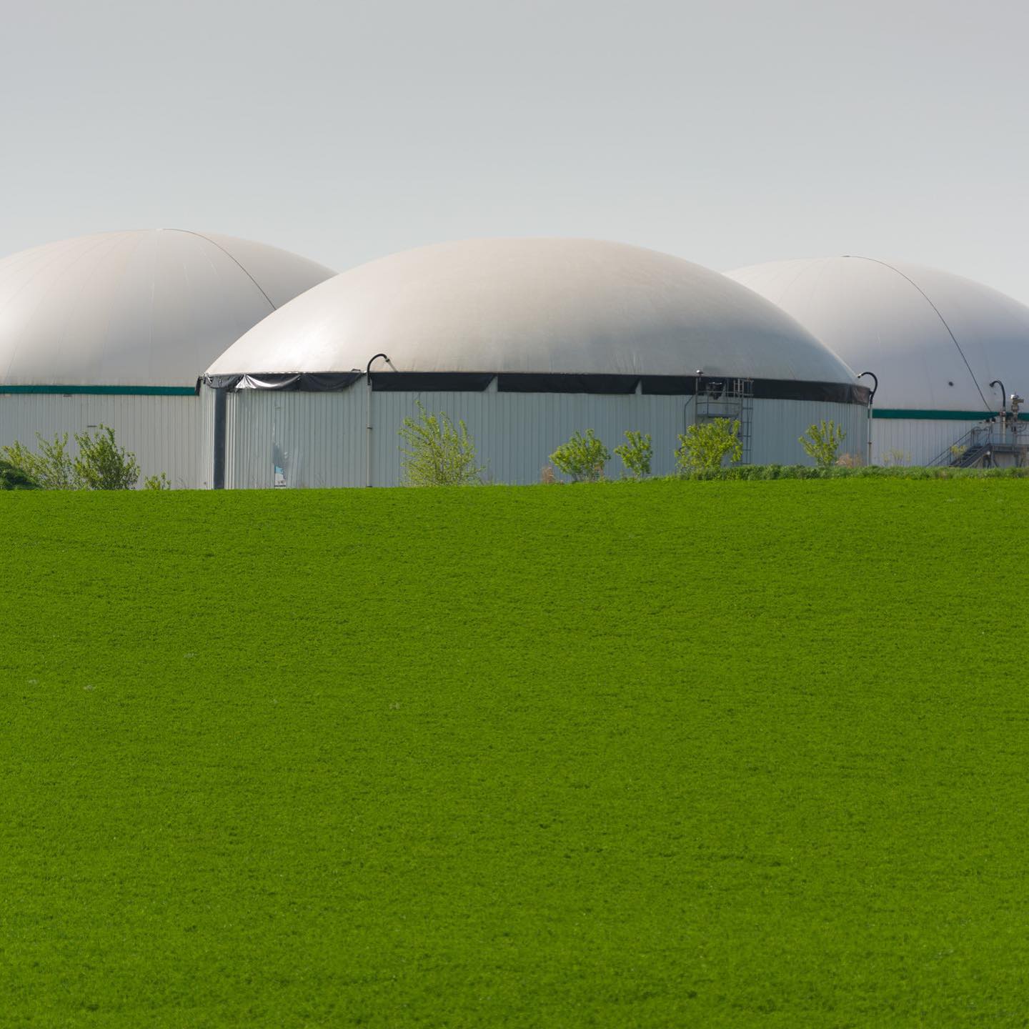 Brightmark, Chevron Expand Cooperation on Dairy Biomethane