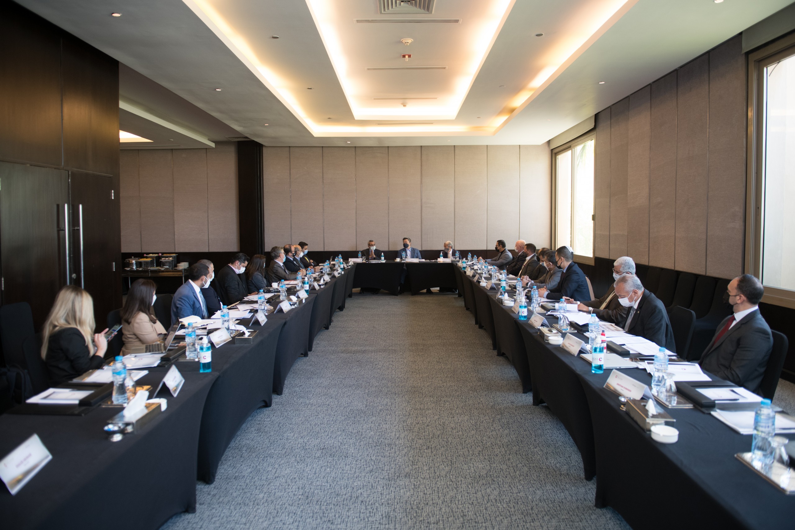 EOG Committee Reviews Task Forces’ Plans for 2022