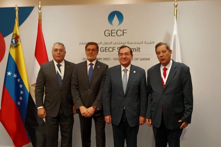 Egypt Discusses Cooperation with Russia, Venezuela at GECF