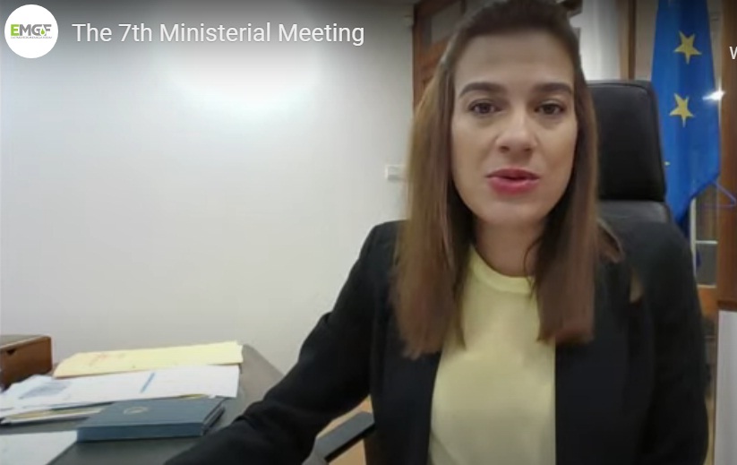 EMGF 7th Ministerial Meeting Tackles Forum Role Amidst Geopolitical Challenges