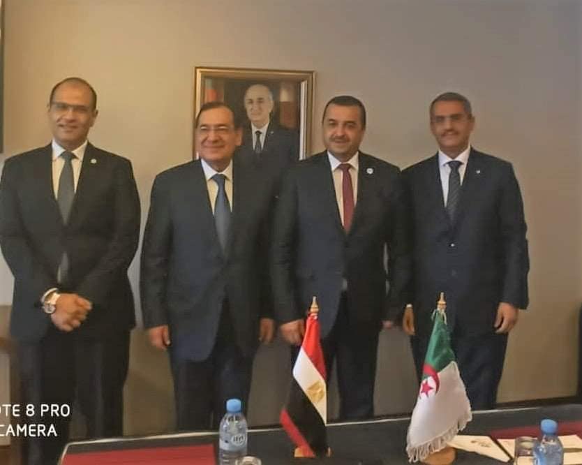 Egypt, Algeria Discuss Oil, Gas Partnerships