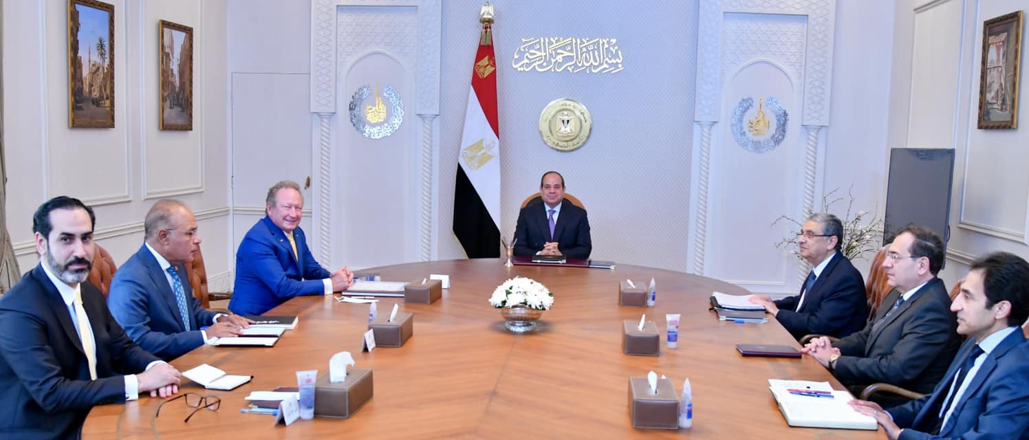 El Sisi Discusses Green Hydrogen, Ammonia Cooperation With FFI