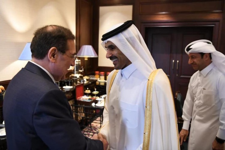 Egypt, Qatar Discuss Joint Energy Projects
