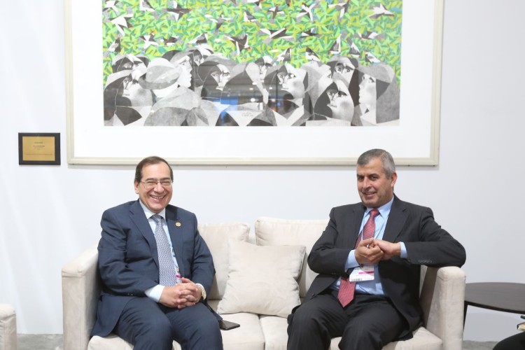 Egypt, Jordan Hold Natural Gas, Energy Transition Talks at COP27