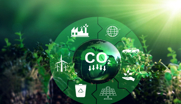 CCUS Deployment: The Way to Zero Carbon Future