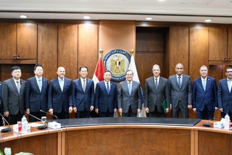 Egypt, CEEC Discuss Cooperation in Green Hydrogen, Petrochemicals