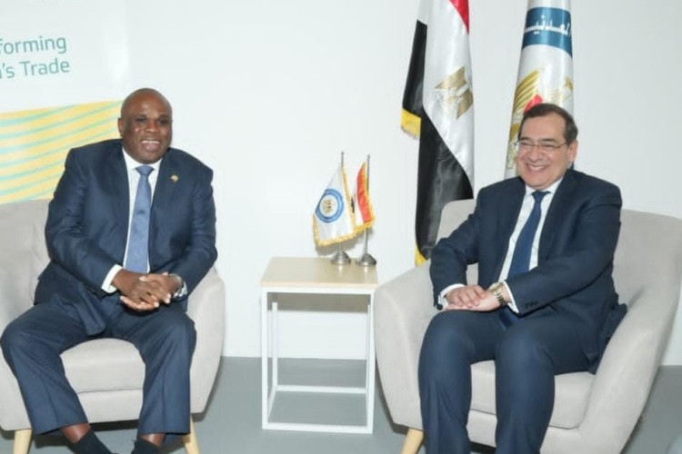 Afreximbank Sees Promising Future for Egypt’s Mining Sector