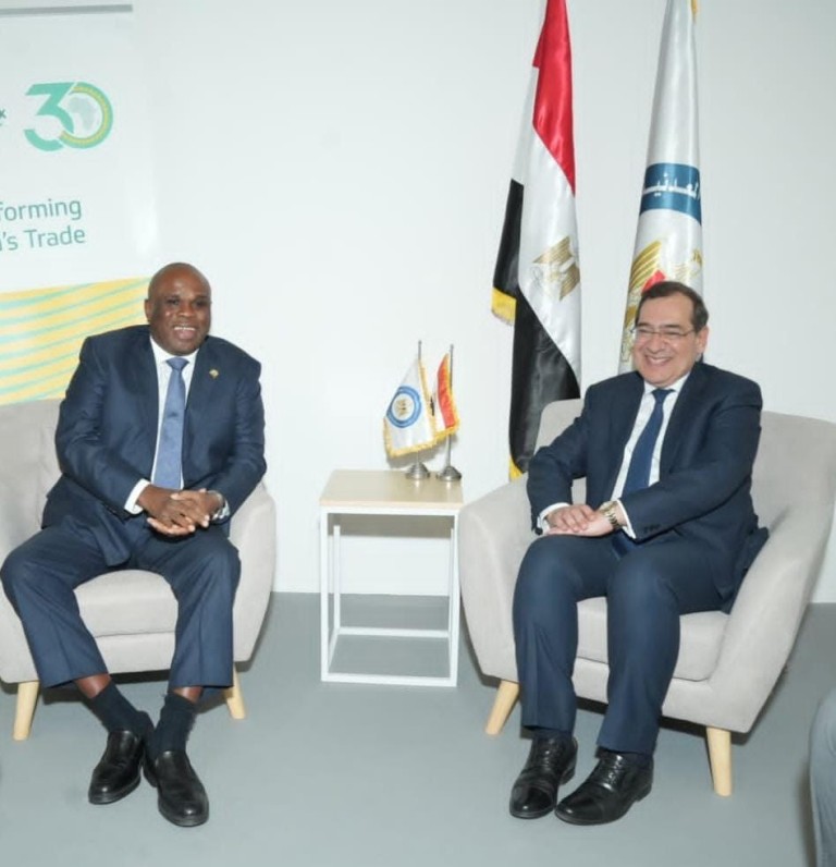 Afreximbank Sees Promising Future for Egypt’s Mining Sector