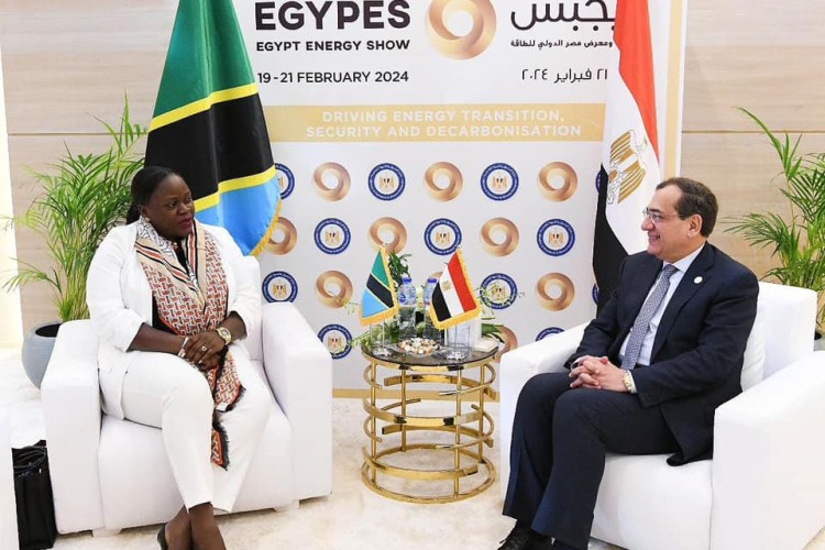 Egypt, Tanzania Discuss Joint Efforts in Gas and Hydrogen Development