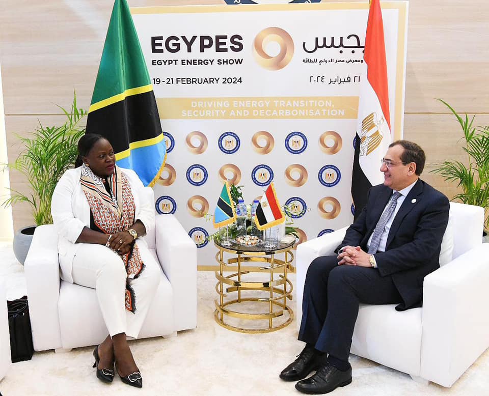 Egypt, Tanzania Discuss Joint Efforts in Gas and Hydrogen Development