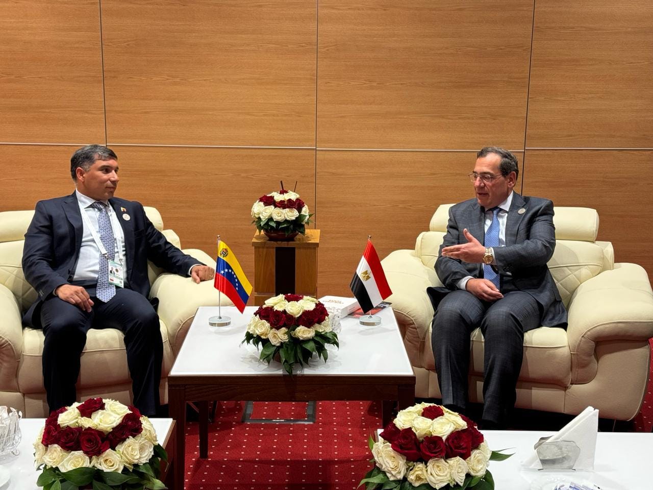 Egypt Explores Opportunities for Implementing Infrastructure Projects in Venezuela