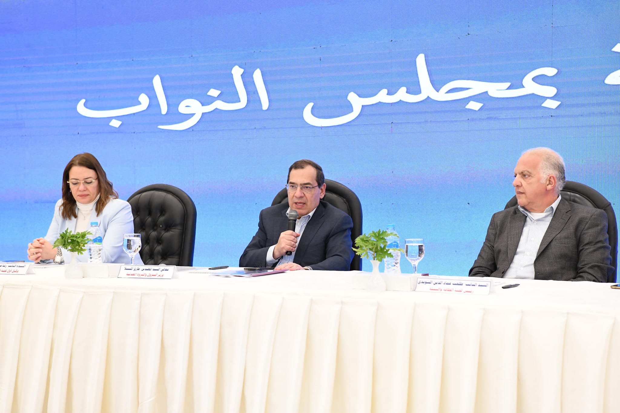 El Molla Lauds Long-Term Collaboration with House of Representatives’ Energy and Environment Committee