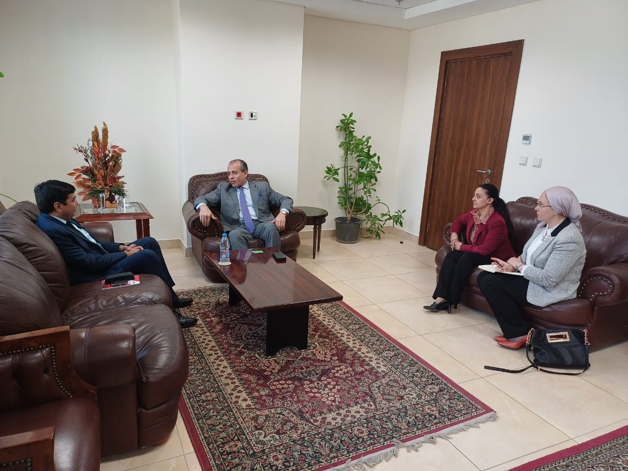 India’s Rana Group Eyes $12 Billion Investment in Egypt’s Green Hydrogen Production