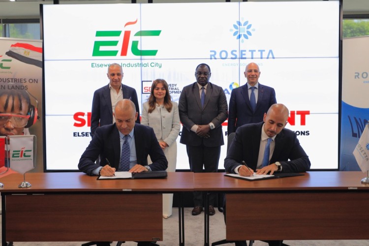Rosetta for Energy Solutions inks an MoU with Elsewedy Industrial Development for LNG Supply in Tanzania