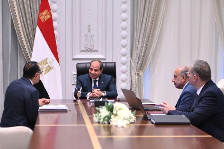 El-Sisi Reviews Energy Solutions to End Summer Load Shedding