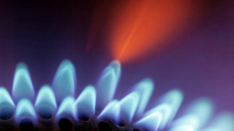 Does Natural Gas Have a Future in a Low-Carbon Economy?