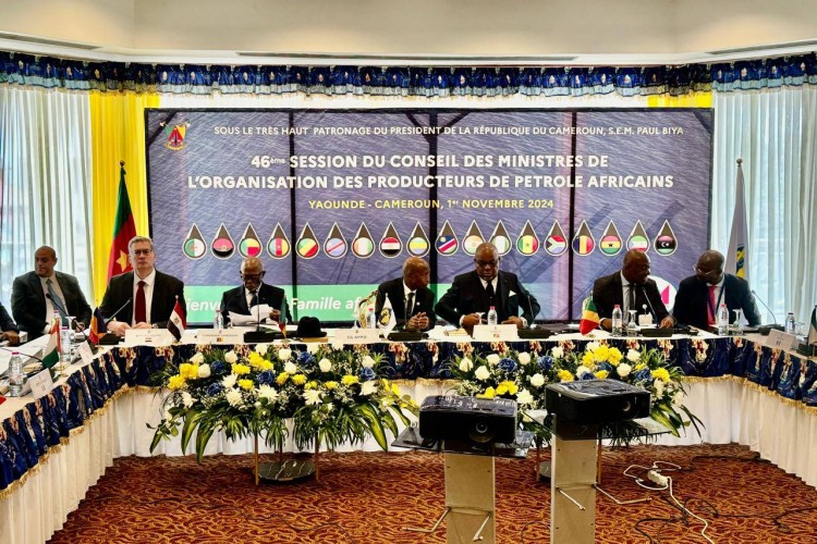 Egypt Backs African Energy Initiatives at 46th APPO Council of Ministers Meeting