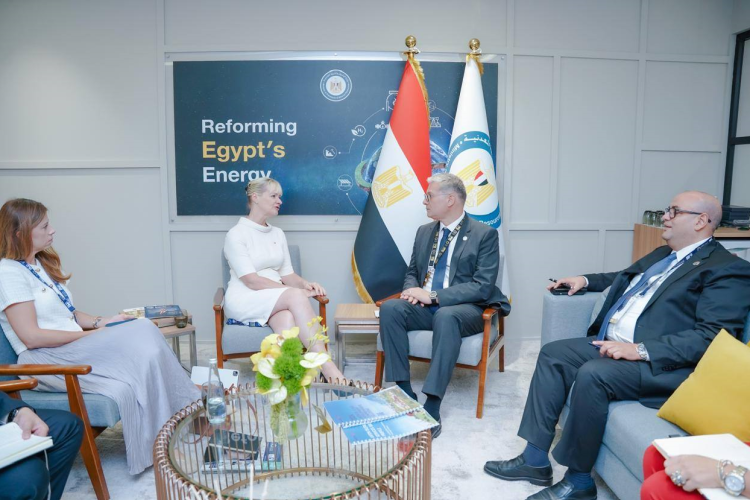 Egypt to Boost Cooperation with World Energy Council